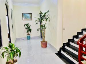TAM CỐC ĐỨC VÂN HOMESTAY