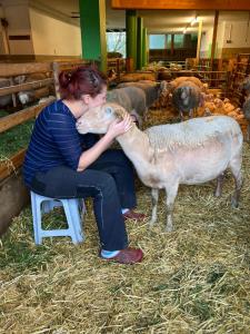 Nussbaumer am Irrsee