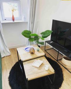 Beautiful refurbished cozy apartment