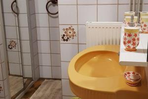 Appartements Beau logement autonome a 15 mn du centre de Dijon : photos des chambres