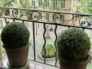 Appartements Appartement Cours Mirabeau CrsMb : photos des chambres