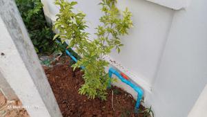 Haus Jasmin Nangrong