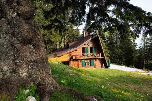 Chalet Alpinka 