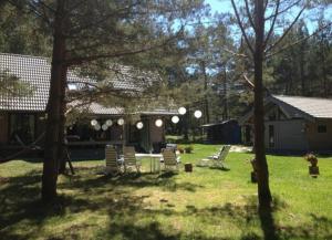 Ferienhaus an der Ostsee strandnah ruhig komfortabel ausgestattet