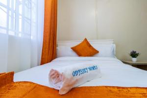 Odyssey Homes