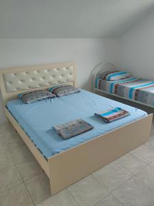 Apartament Timi