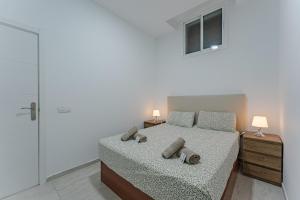APARTAMENTO EN PARQUE SANTIAGO II