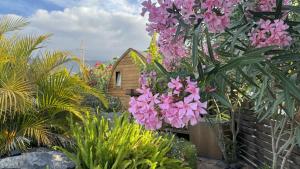 Lykke Suite Spa Piscina y Jardín by Deihu Experiences