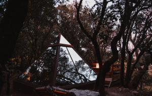 Lodges Le mas cabanids : photos des chambres