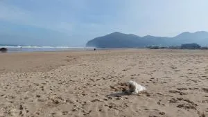 Bonito duplex en Playa de Berria - Argoños