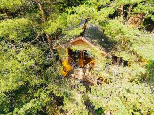 Hotels La-Haut cabanes perchees : photos des chambres