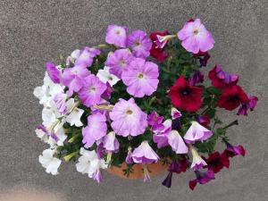 Cappoquin Holiday Escape