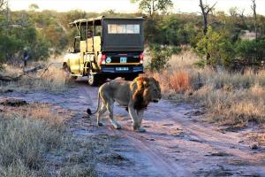 Ebony House - Kruger National Park
