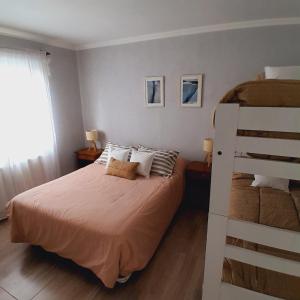 Los Coirones Aparts - El Chaltén - Patagonia