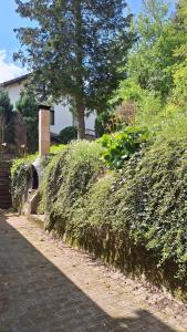 Haus Westharz Goslar