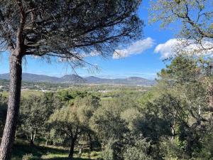Appartements Bungalow vue mer / Terrasse panoramique / parking : photos des chambres