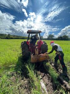 Finca Diamante Tahití