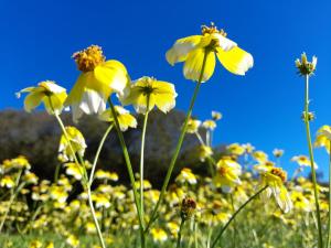 Nova Alofa holiday home
