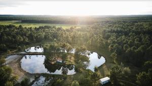 B&B / Chambres d'hotes Blue : La Roulotte du Medoc : photos des chambres