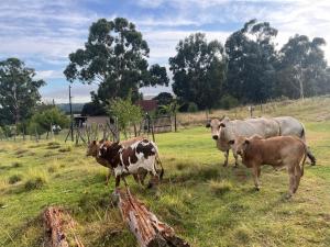 Kwaggaskop Farm Stoephuis