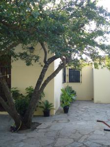 Casa Rural: "la Encina"