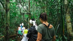 AMAZON PARADISE HOTEL