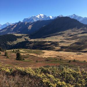 Chalets Chalet familial La Griotte avec piscine : photos des chambres