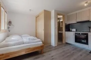 Charmant studio rénové à Grimentz - Ayer