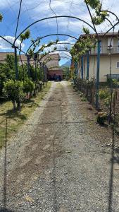 Guesthouse Marku - Mrizi i Zanave