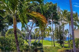 Keauhou Kona Surf & Racquet Club #6-201