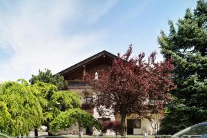 Superior Apartment mit 1 Schlafzimmer und Balkon