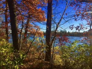 Bridge Inn Tomahawk - Suite 201, Kitchen, Hot Tub, Fireplace, Balcony, River View