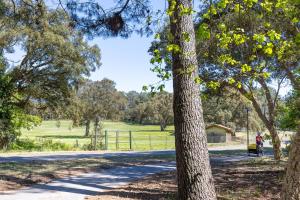 Villas Villa Blanche - Moliets Et Maa : photos des chambres