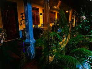 Dambulla Kings Inn