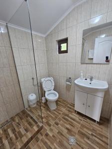 Casute la "Doi pasi de Castel"