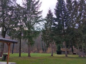 Casa Veverițelor - Căsoaia