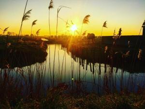 Appartements Pause relaxante a Saint-Jean-de-Monts : photos des chambres