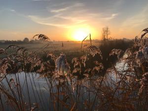 Appartements Pause relaxante a Saint-Jean-de-Monts : photos des chambres