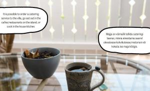 Villa of Nature Energy on Prangli island