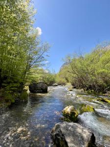 Nature Guesthouse Vuthaj