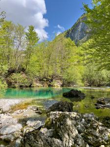 Nature Guesthouse Vuthaj
