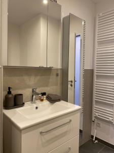 Apartment Bergluft Winterberg am Bikepark, Skilift, SSC