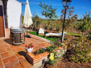 Apartamento El Baco entre viñedos