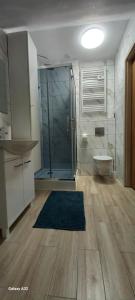 Apartament centrum Jura Żarki