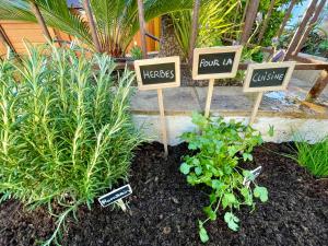 Villas Villa provencale Golfe St Tropez climatisee piscine chauffee, Spa, billard, Wifi haut debit pro : photos des chambres