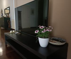 onoratocinque house apartment