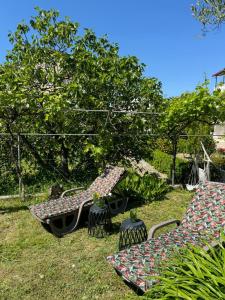 Palma Guesthouse 