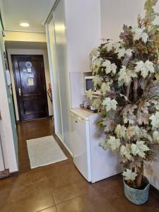 La Ruta de las luces de Vigo