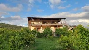 Guest House Xhaferaj - Dardhë