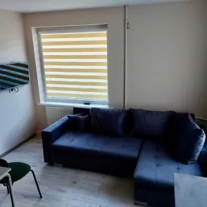 Širvėnos namai - penkiavietis numeris - Pasvalys